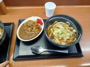 60代のスノーボードおじさんさんの両津港ターミナルの投稿写真4