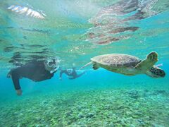 バニーさんのOCEAN LIFEへの投稿写真1