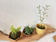 和ごころまなび華教室の写真1