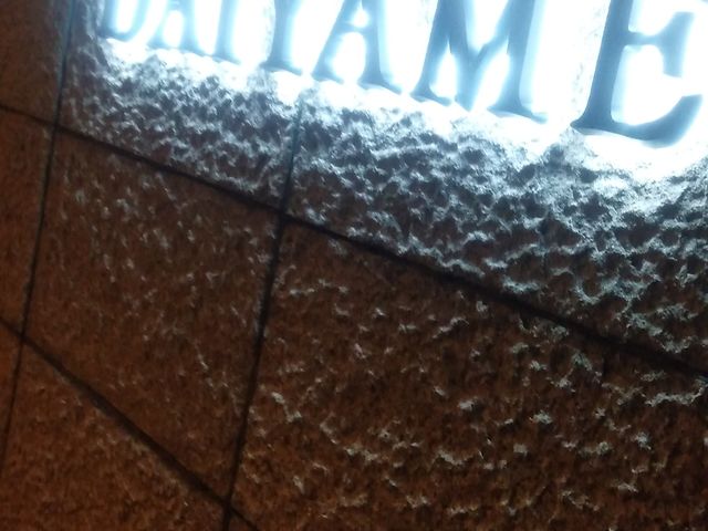 DAIYAMEさん_美酒佳肴 DAIYAME ダイヤメ
