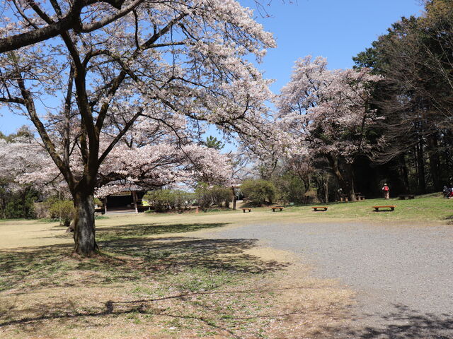 都立滝山公園 滝山城址