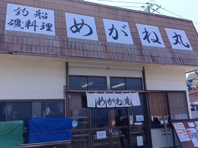 めがね丸_めがね丸
