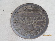 波平さんの初島の投稿写真5