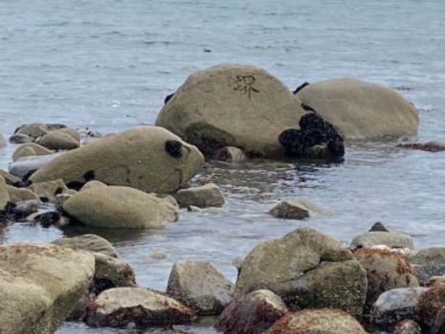 海に有る青森県と岩手県の県境石_小舟渡海岸