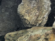 maronさんの鞆の銀蔵の投稿写真2