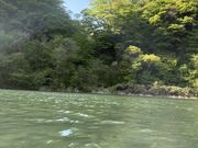 ちーさんの四万湖SUP ブルーストロールの投稿写真1