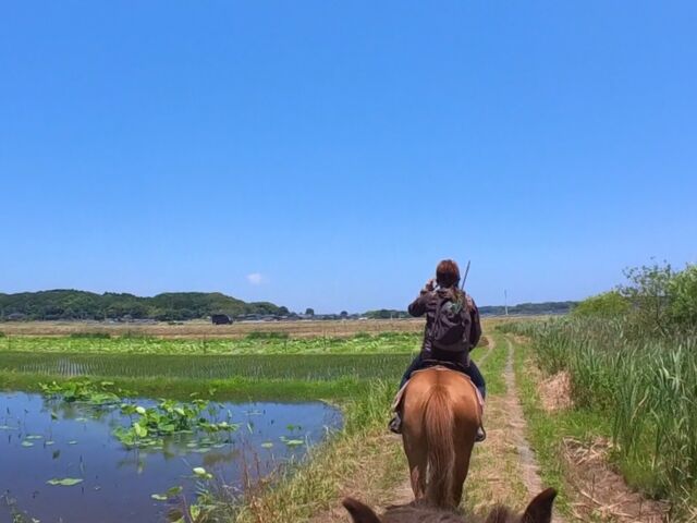終盤_PONY PLUS