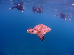 kaoさんのcalm石垣島への投稿写真1