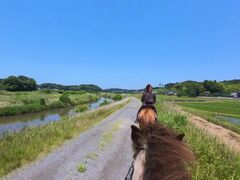PONY PLUSの写真1