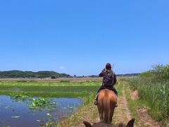 PONY PLUSの写真2