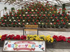 松江フォーゲルパークの写真1