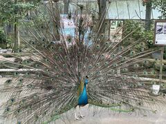 松江フォーゲルパークの写真2