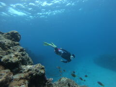 へいさんの沖縄アクアマリンへの投稿写真1
