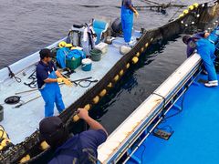 読谷村漁業協同組合の写真5