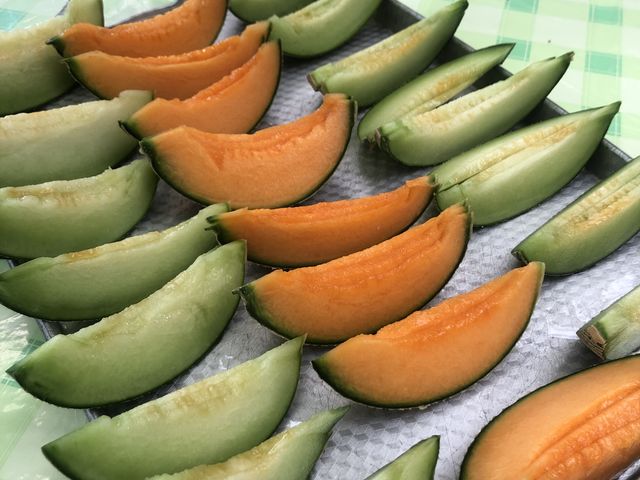 初めてメロン食べ放題に行きました
こんなに贅沢にメロンを食べたのは初めてです
_みなみ果樹園芸