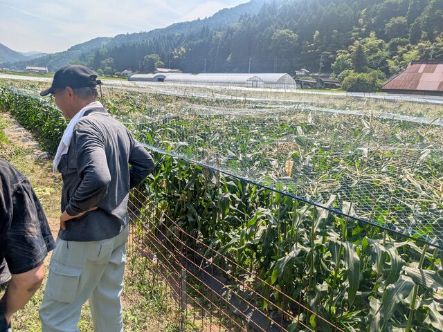 広い畑です_なかしま農園
