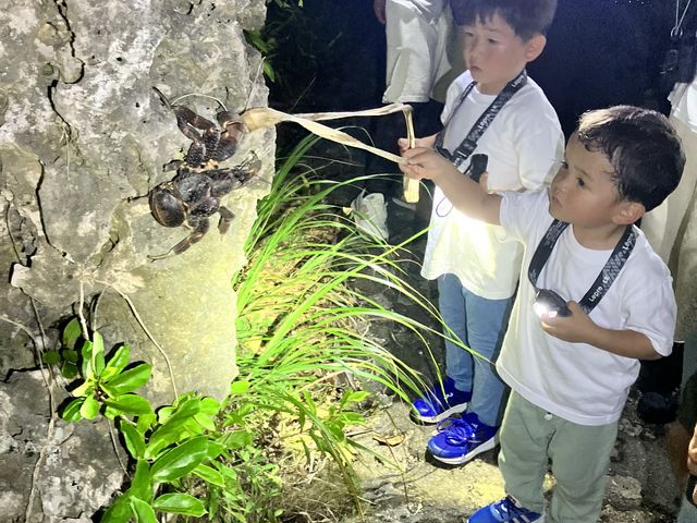 大きなヤシガニに大興奮でした!_Nami宮古島