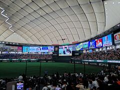 東京ドームの写真1