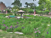 sklfhさんの知立公園の投稿写真1