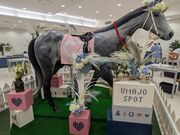 ゆん。さんの阪神競馬場の投稿写真1