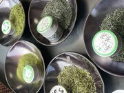 ちんちゃんさんのnonki tourの投稿写真1