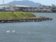4人のかーちゃんさんの芦屋の投稿写真1