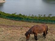 ゆん。さんの三春ダム資料館の投稿写真1