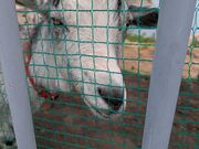 ゆん。さんの三春ダム資料館の投稿写真2