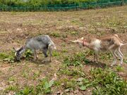 ゆん。さんの三春ダム資料館の投稿写真3