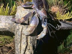 ゆかたさんのCHAMP TOUR 宮古島への投稿写真1