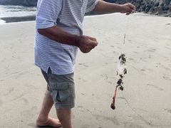 海の家 めぐの写真2