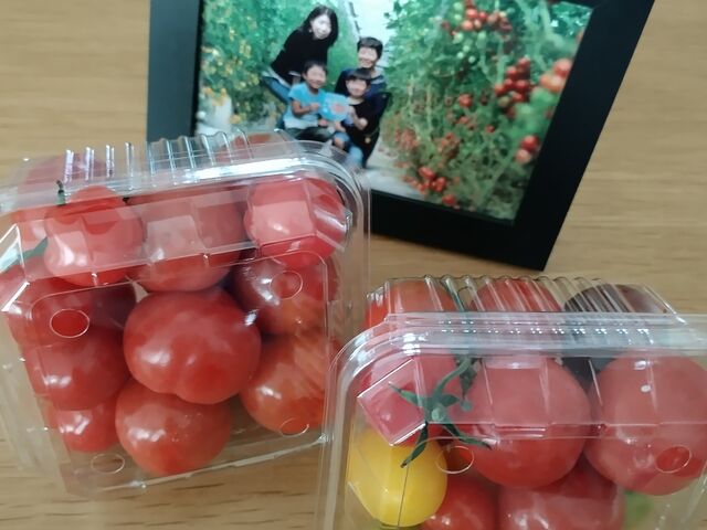 持ち帰り300円のパックはスーパーでよく見るミニトマトのパックと同じくらい_トマトの丘
