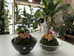 正直やの写真1