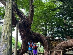 HAKODATE ADVENTURE TOURの写真1