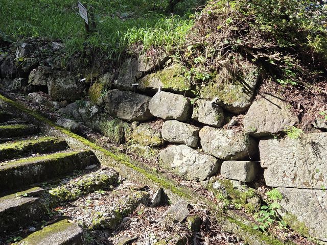 なつみさんの亀ヶ城跡の投稿写真1