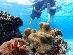 Nami宮古島の写真1