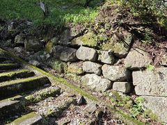 なつみさんの亀ヶ城跡への投稿写真1