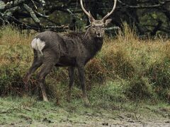 レイクサイドとうろの写真2