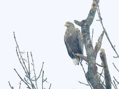 レイクサイドとうろの写真3