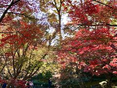 大田黒公園の写真1