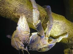 OKIDOKIマリンツアー宮古島の写真1