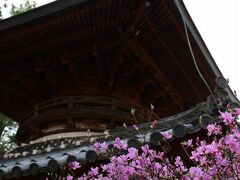 Yanwenliさんの東光寺への投稿写真1