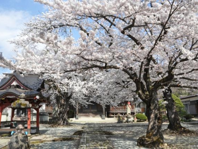 父母報恩寺の写真1