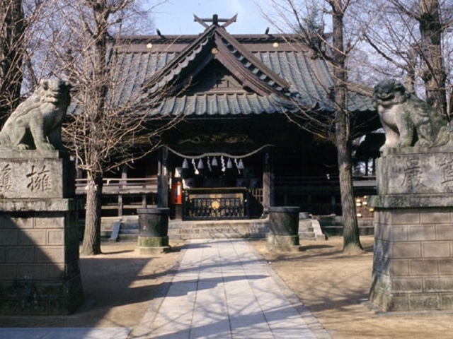 金村別雷神社の写真1