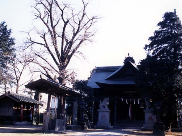 女体神社の写真1