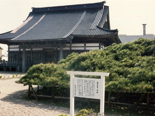 専念寺の写真1