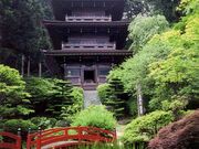 白華山法光寺の写真1