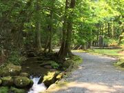 寺下観音の写真2