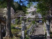 瑞雲寺(前机・霊膳)の写真1