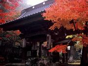 鶴布山珍蔵寺の写真2